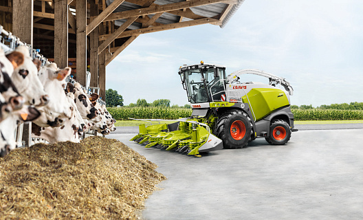 CLAAS: ПРАКТИЧЕСКИЕ РЕКОМЕНДАЦИИ ПО ЗАГОТОВКЕ КУКУРУЗНОГО СИЛОСА SHREDLAGE